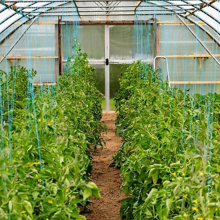 Mothir Joerth Organic Farm Guesthouse In Vallanes Exterior photo